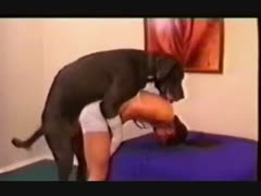 I want to give Dog Ramrod a lick.